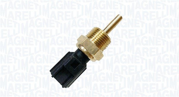 3922035700