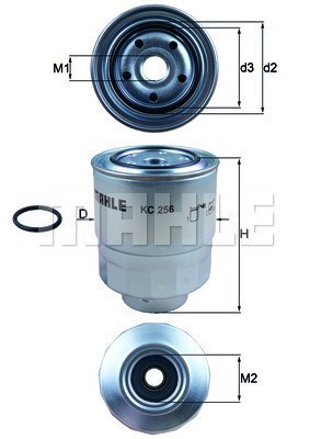 16901RMAE01